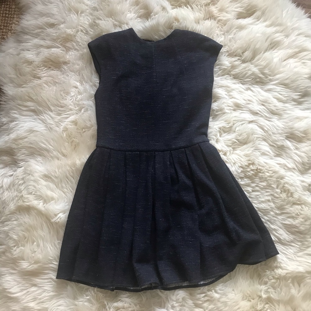 Aritzia fit and flare dress